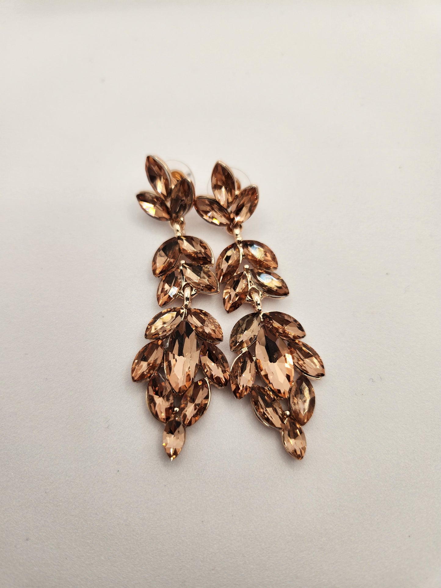 Elegant Evening Earrings